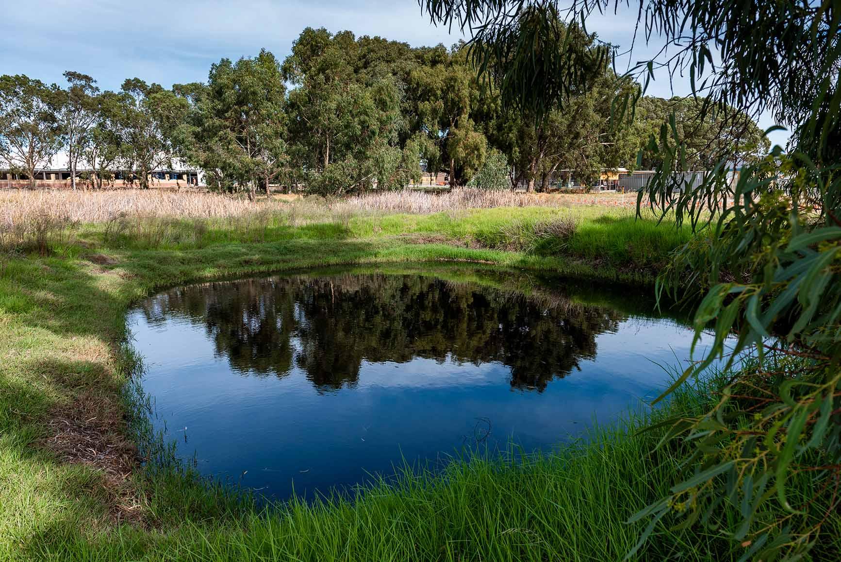 Nicholson Road waterhole 
